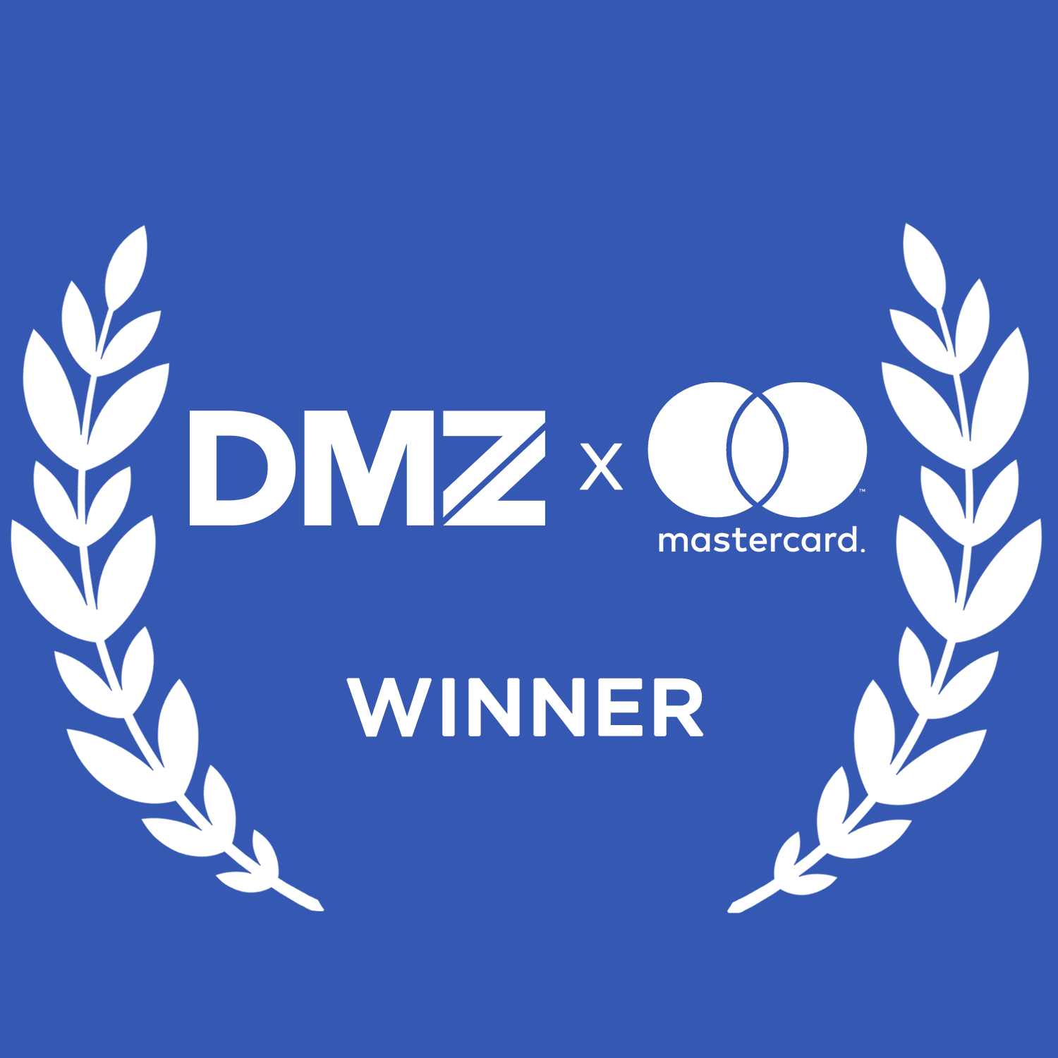 DMZ logo - Mastercard Women in Entrepreneurship Program